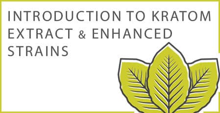 introduction to kratom extract and enhanced strains